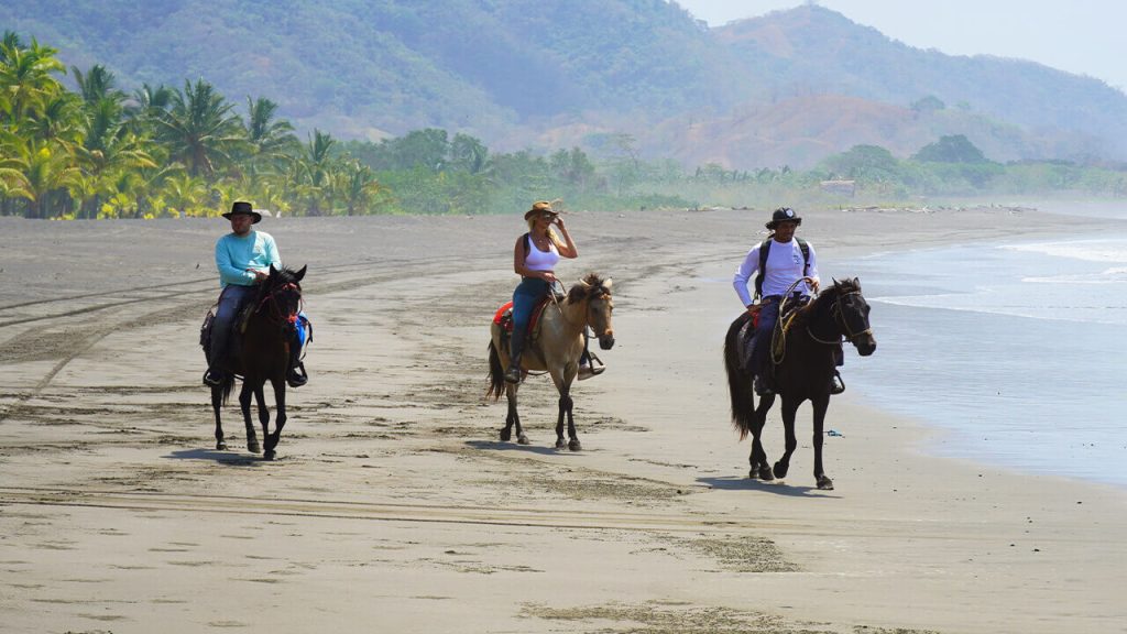 Los Buzos: Offshore Fishing & Adventure Resort | Weekend Horseback Riding at Los Buzos