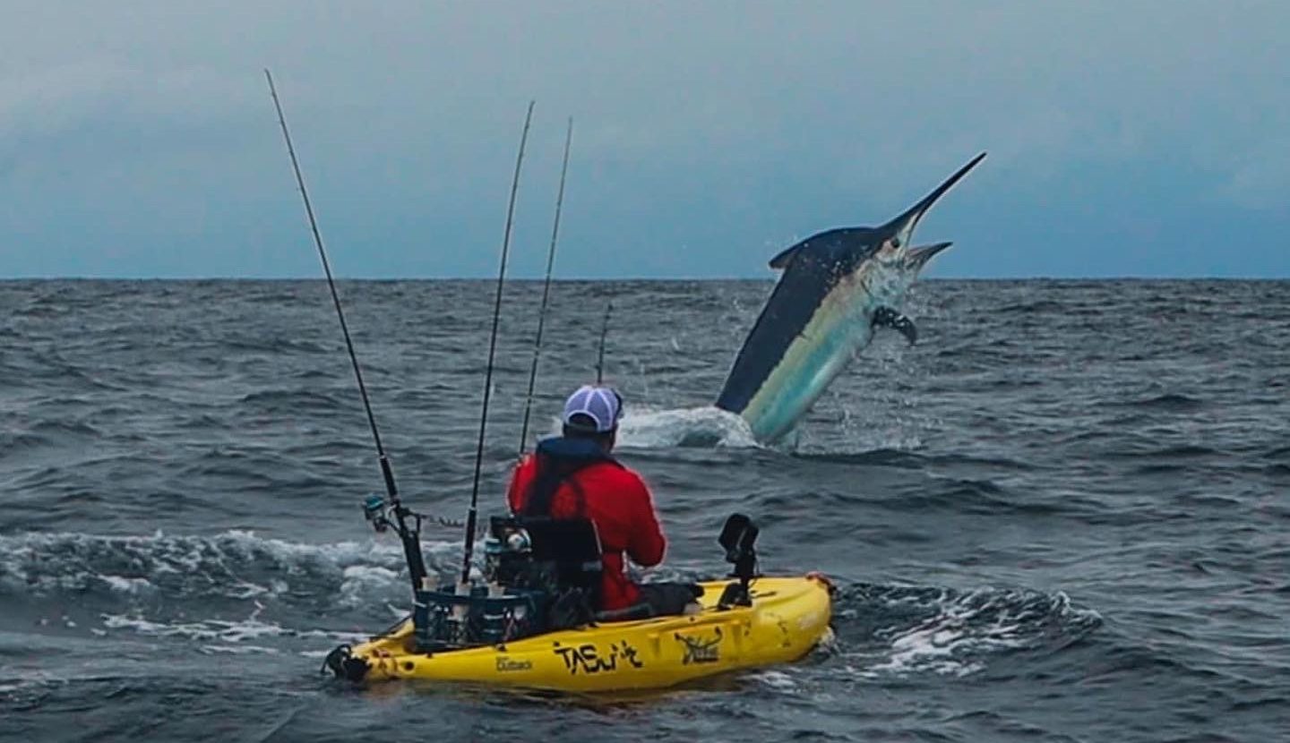 Scotts Marlin
