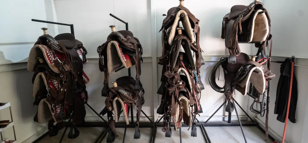 Los Buzos: Offshore Fishing & Adventure Resort | Weekend Horseback Riding at Los Buzos