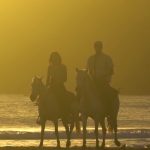 Los Buzos: Offshore Fishing & Adventure Resort | Weekend Fishing at Los Buzos
