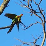 Los Buzos: Offshore Fishing & Adventure Resort | Weekend Horseback Riding at Los Buzos