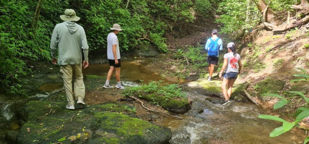 Hiking in Parque Los Buzos