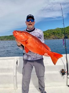 How to Improve Your Los Buzos Experience: The Ultimate Masterclass for the Wild Coast