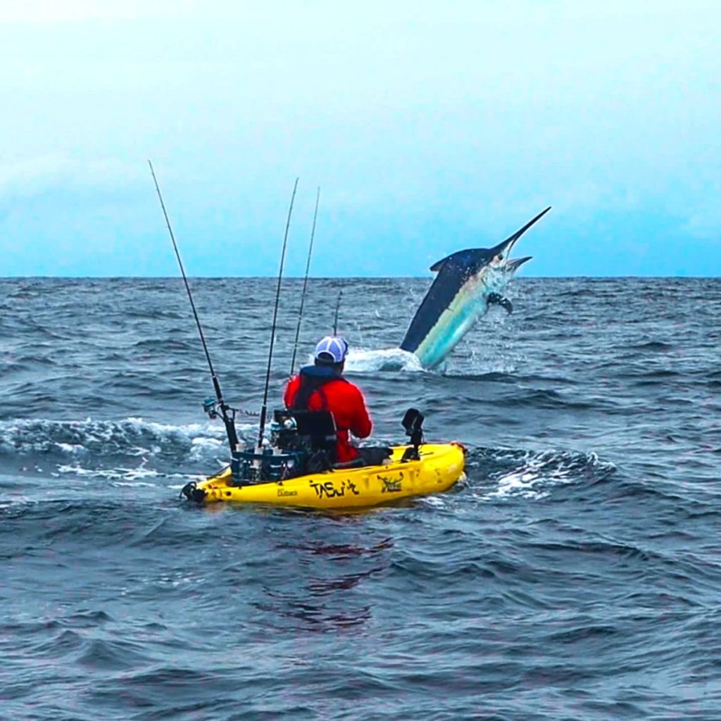 marlin caught on kayak