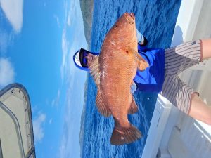 Pro Tips for Los Buzos Success: Mastering Panama's Wild Coast in 2026