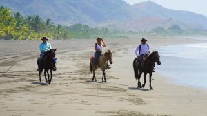 Los Buzos: Offshore Fishing & Adventure Resort | Blog Beach Horseback Riding at Los Buzos