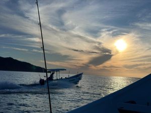 Los Buzos: Offshore Fishing & Adventure Resort | Blog Pangas at Los Buzos
