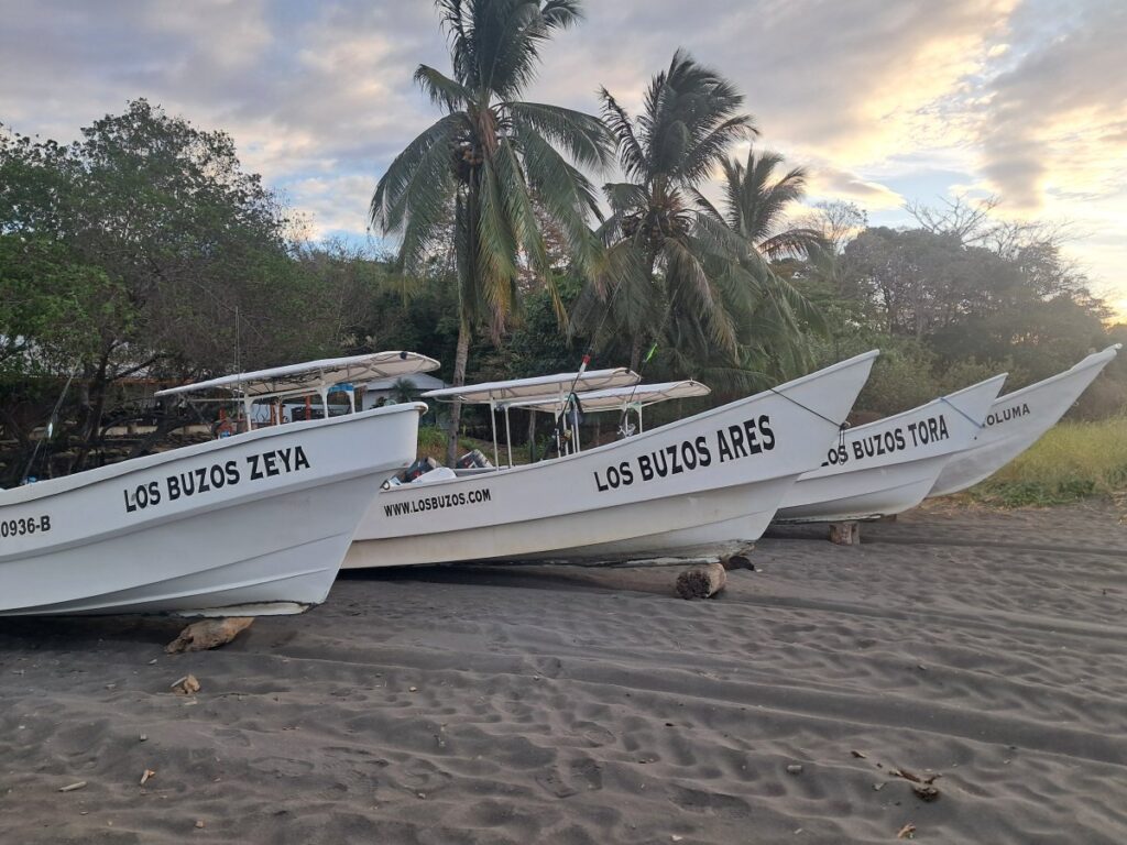 What is Panga Fishing? The Tactical Guide to Wild Coast Mastery (2026)
