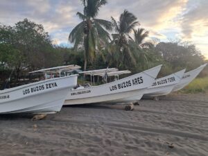 Los Buzos: Offshore Fishing & Adventure Resort | What is Panga Fishing? The Tactical Guide to Wild Coast Mastery (2026) What is Panga Fishing? The Tactical Guide to Wild Coast Mastery (2026)