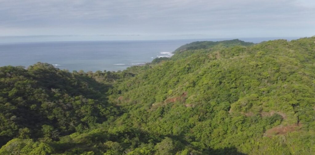 Eco Tours Azuero Peninsula: Conquering the Wild Coast’s Primal Frontier (2026)