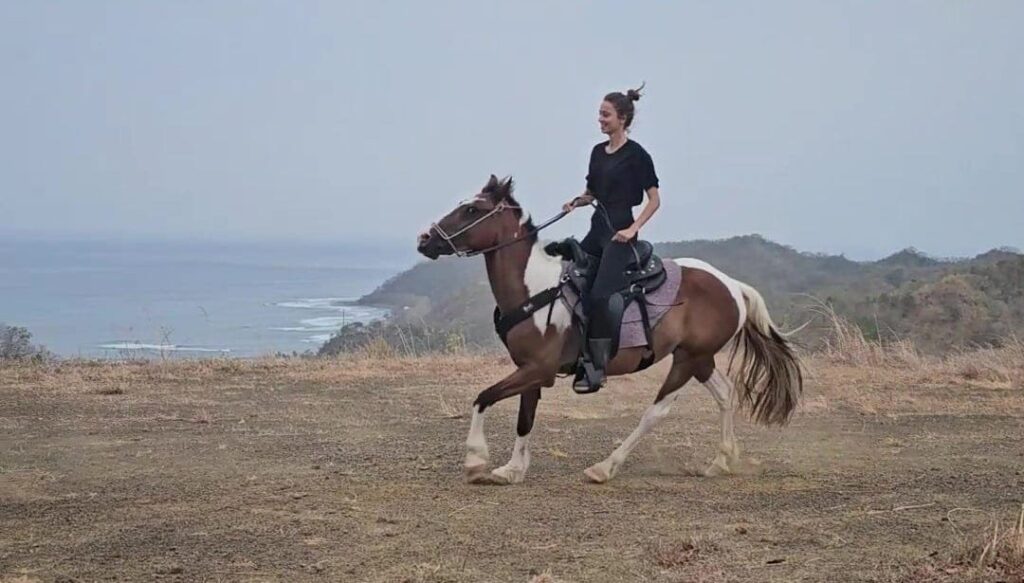 Los Buzos: Offshore Fishing & Adventure Resort | Horseback Riding Cambutal Panama: Conquer the Wild Coast Frontier Horseback Riding Cambutal Panama: Conquer the Wild Coast Frontier