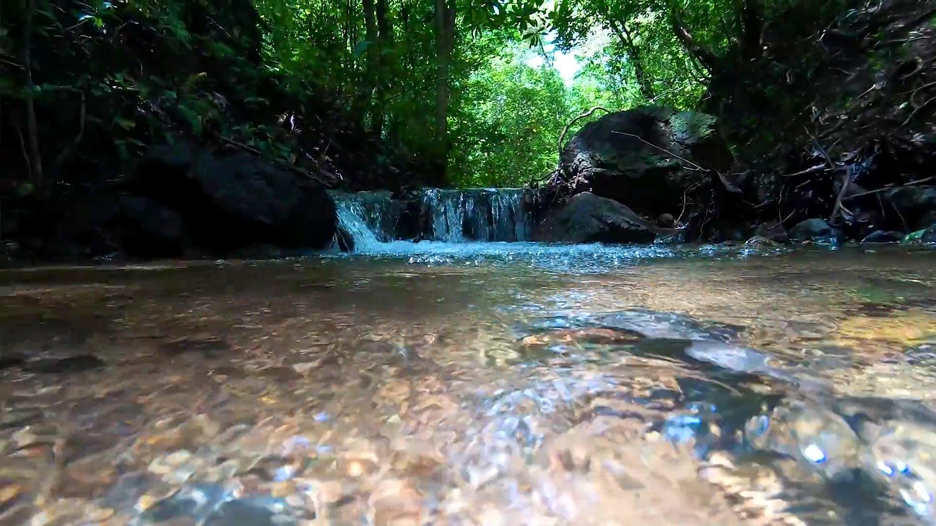 A spring-fed creek running through Parque Los Buzos, the 300-acre private reserve on the Azuero Peninsula, Panama