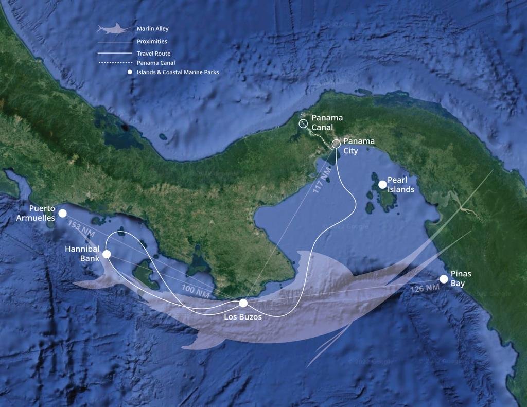 **Panama Marlin Fishing Trips**: Elite Pursuits on the Wild Coast (2026)