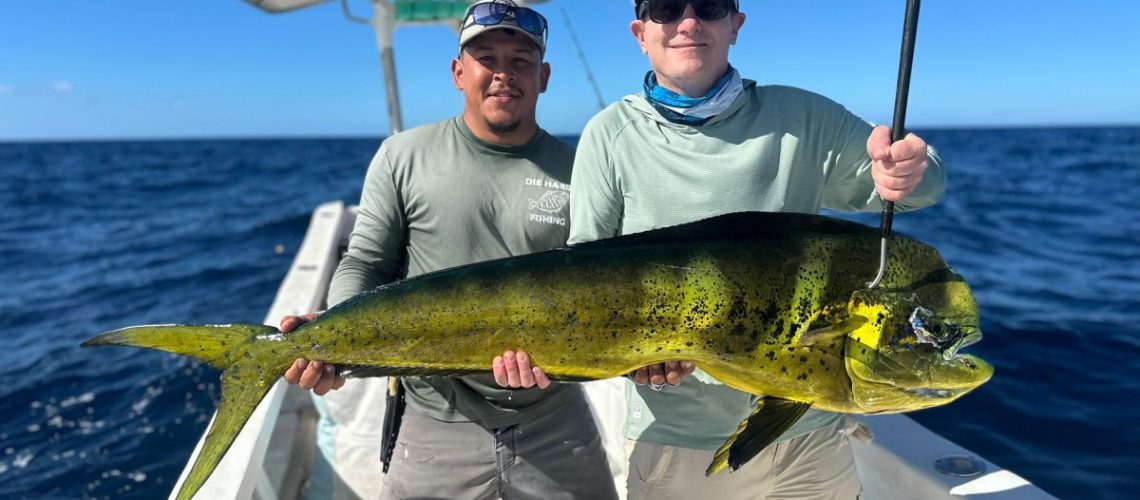 Sportfishing mahi at Los Buzos