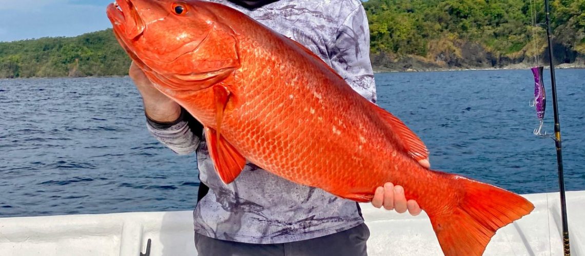 How to Improve Your Los Buzos Experience: The Ultimate Masterclass for the Wild Coast