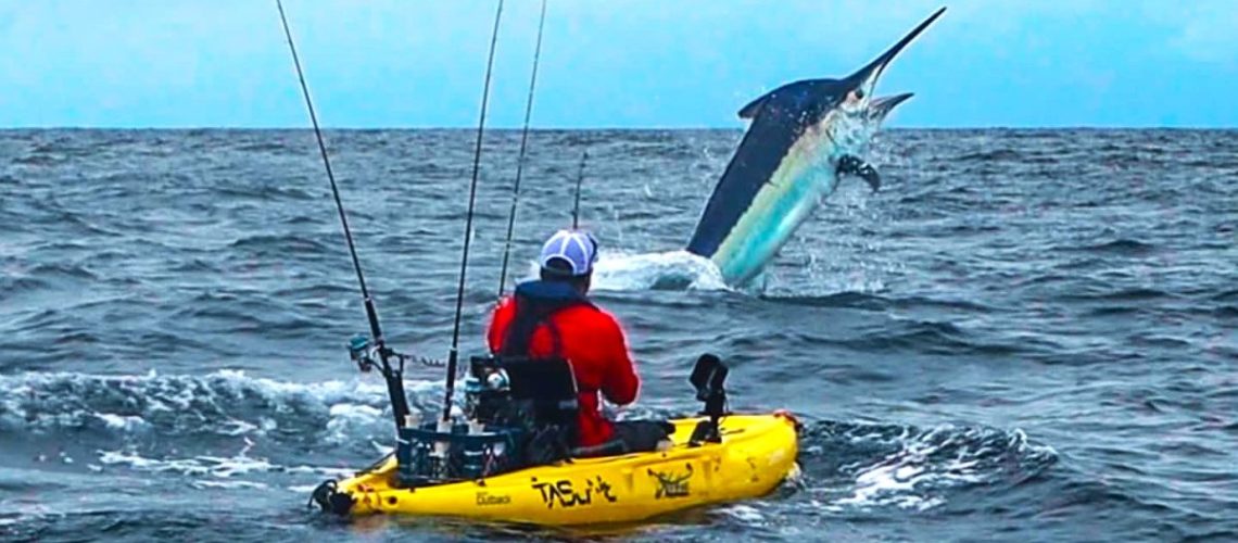 marlin caught on kayak
