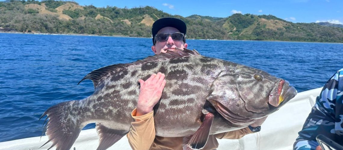 Broomtail Grouper at Los Buzos