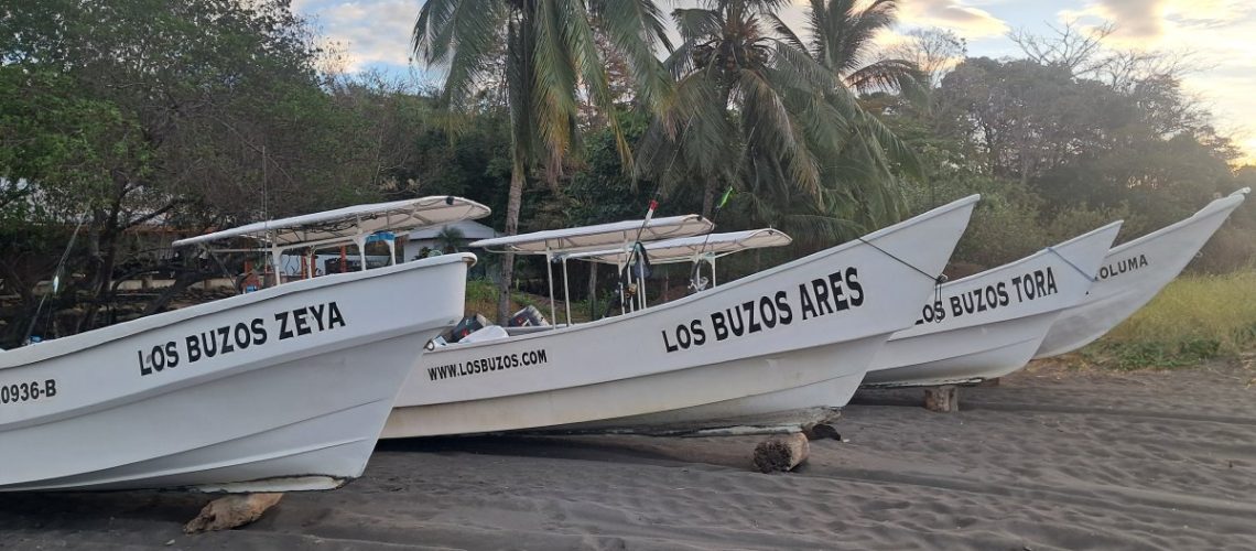 What is Panga Fishing? The Tactical Guide to Wild Coast Mastery (2026)