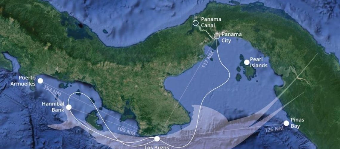 **Panama Marlin Fishing Trips**: Elite Pursuits on the Wild Coast (2026)